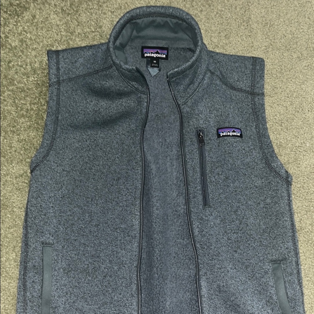 Patagonia Gray Fleece Vest